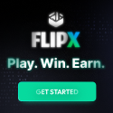 flip-x.net